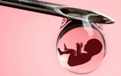 Matéria no canal de notícias “O LANCE”: Ginecologista explica método que tem ajudado atletas homossexuais a engravidarem