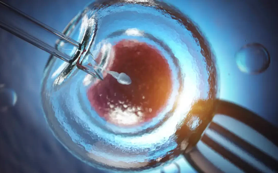 Fertilização in vitro: 10 dúvidas que toda mulher deveria tirar antes de começar