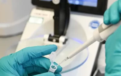 Pesquisadores criam óvulos com o DNA da pele