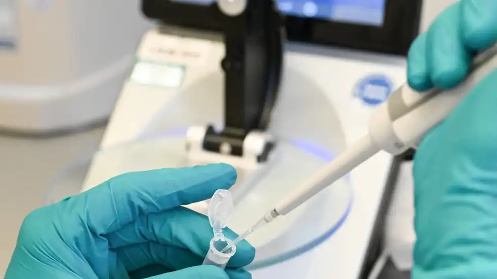 Pesquisadores criam óvulos com o DNA da pele